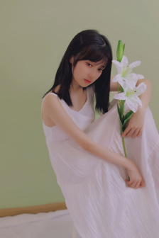 乌龙大状师